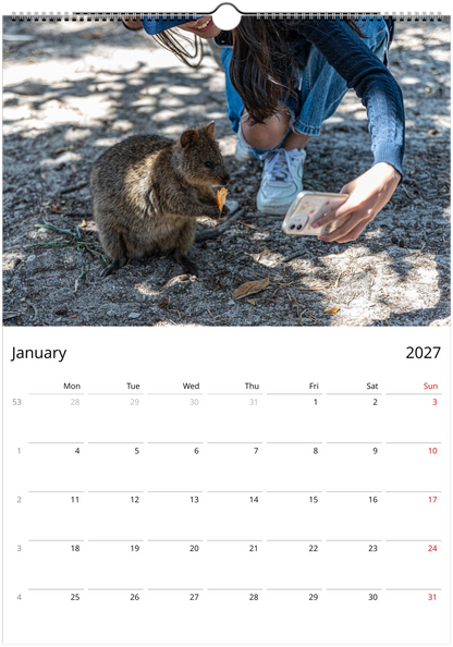 2027 Australian Wildlife Wall Calendar | 0488 Istvan Maar Photography