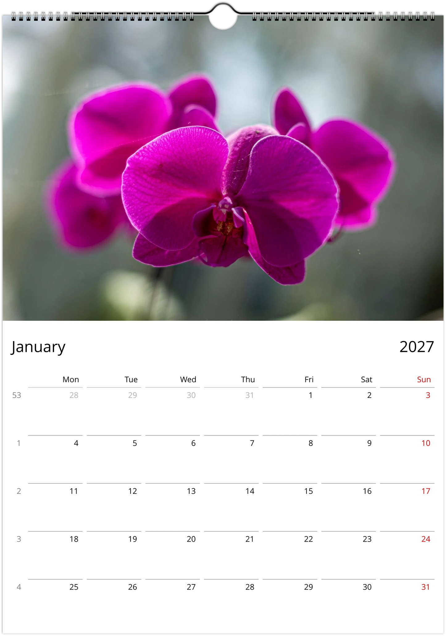 2027 Orchids Wall Calendar | 5749 Istvan Maar Photography