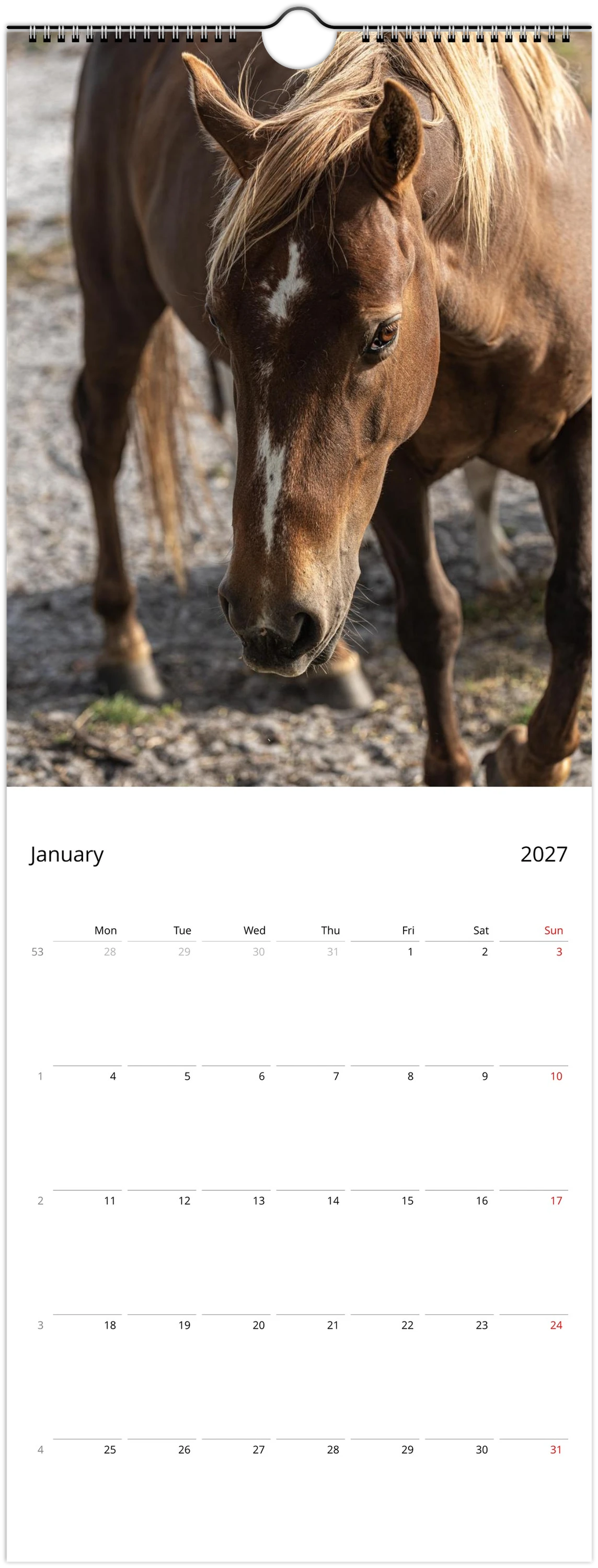 A single-page calendar spread showing a large horse photograph at the top and a January 2027 calendar grid at the bottom on a white page.