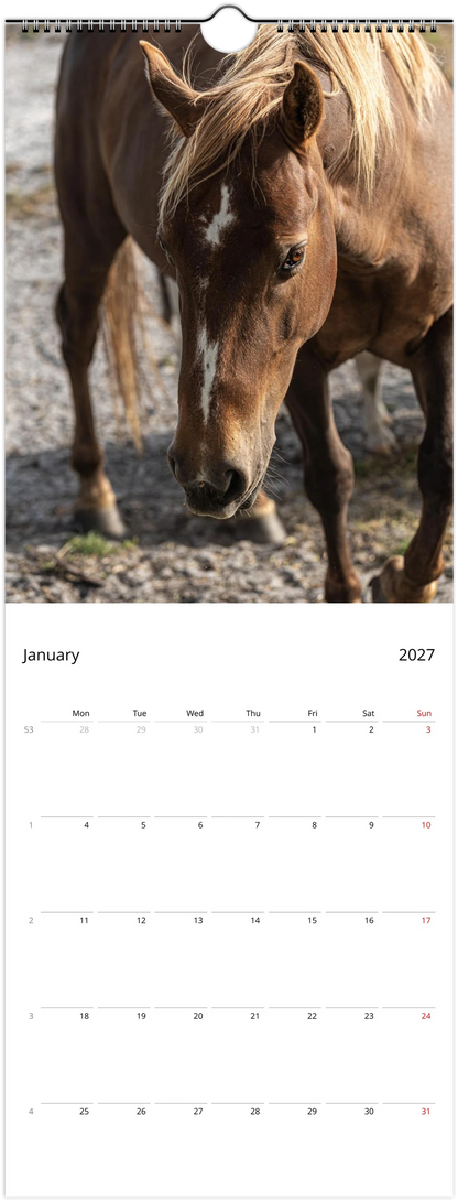 A single-page calendar spread showing a large horse photograph at the top and a January 2027 calendar grid at the bottom on a white page.