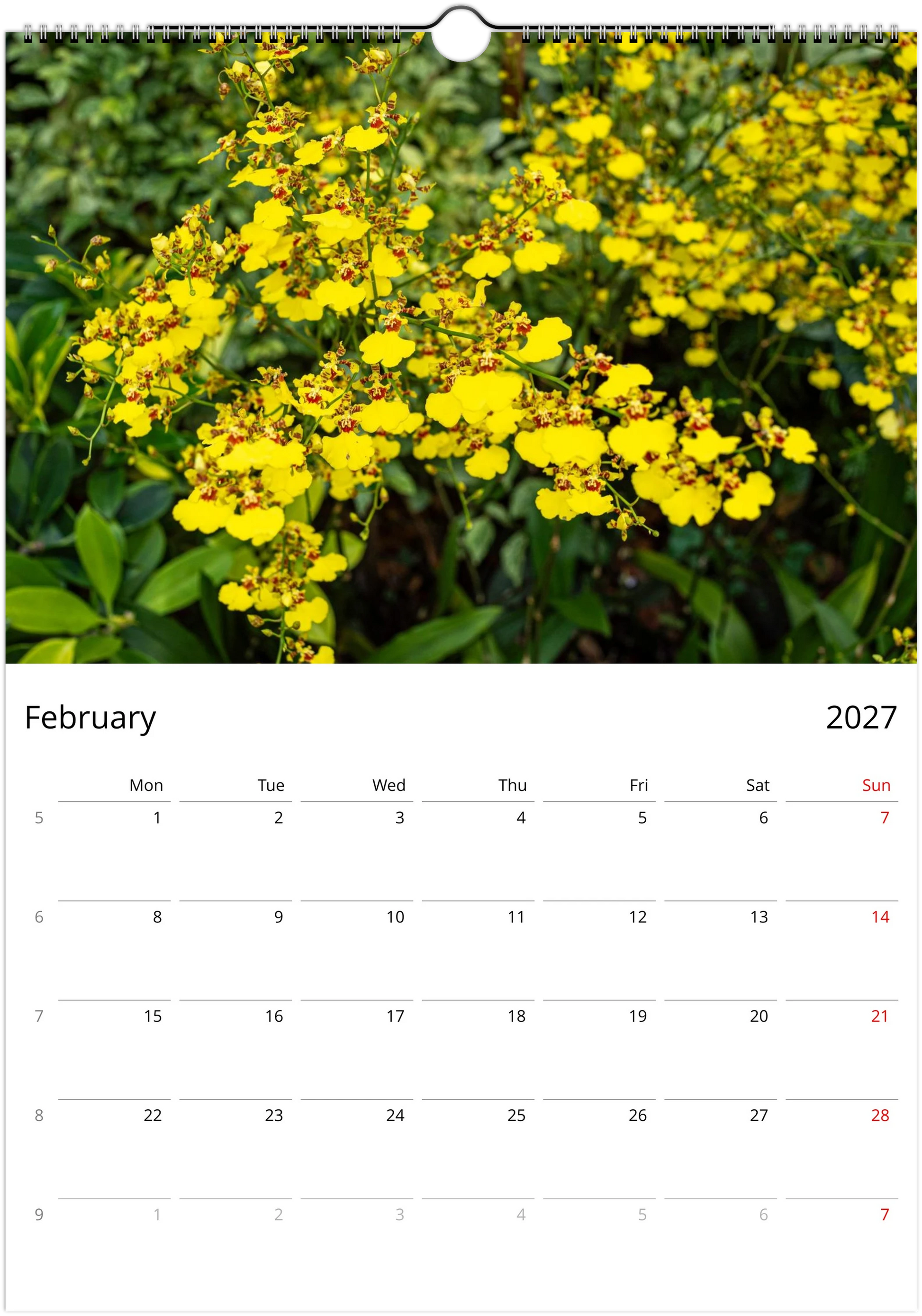 2027 Orchids Wall Calendar | 5749 Istvan Maar Photography