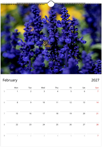 2027 Bees Wall Calendar – February monthly spread with bee and flower photography