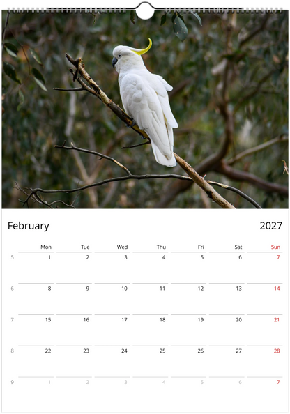 2027 Australian Wildlife Wall Calendar | 0488 Istvan Maar Photography