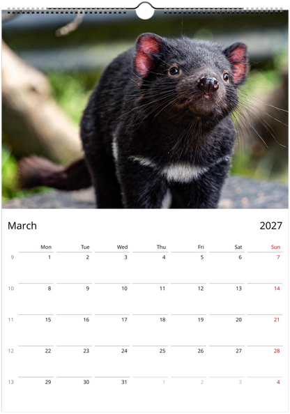 2027 Australian Wildlife Wall Calendar | 0488 Istvan Maar Photography