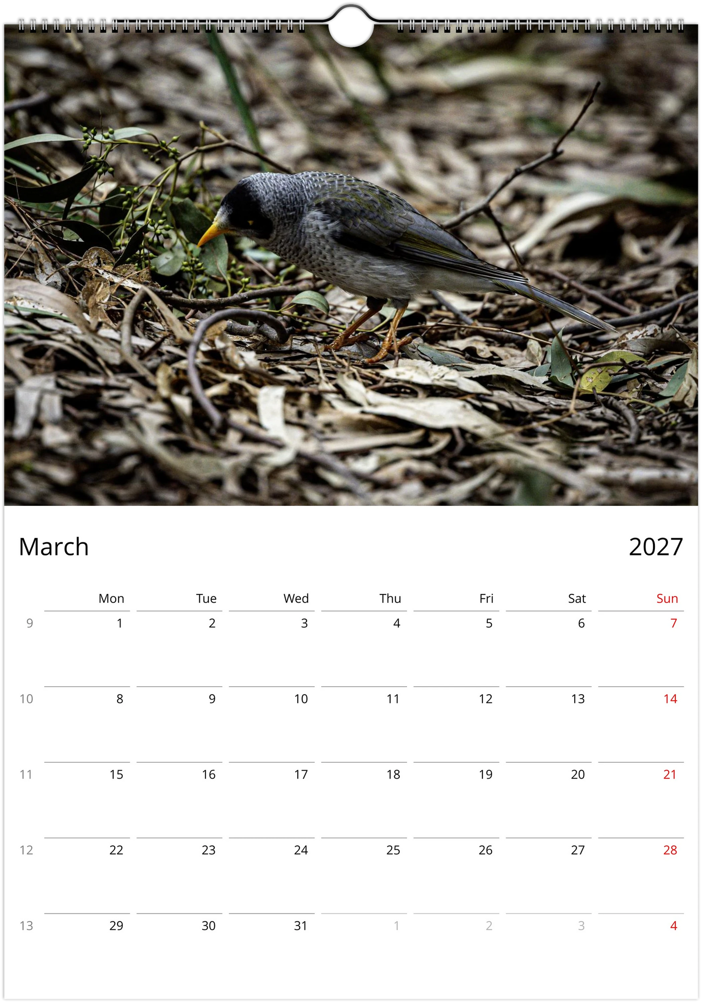 2027 Noisy Miners Wall Calendar | 3685