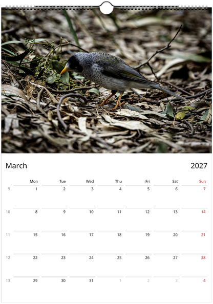 2027 Personalised Noisy Miners Wall Calendar | 3685