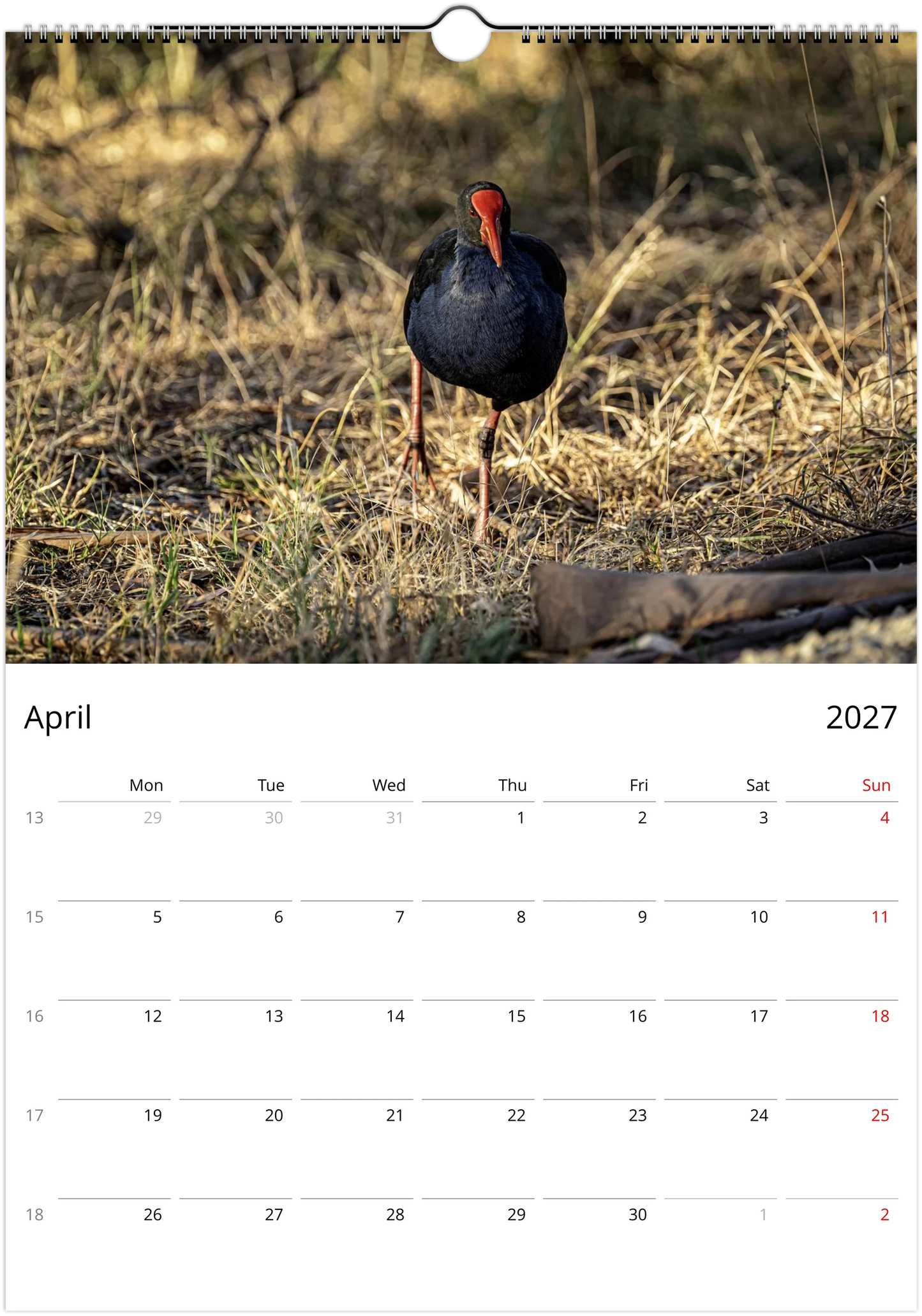 2027 Purple Swamphens Wall Calendar | 4167