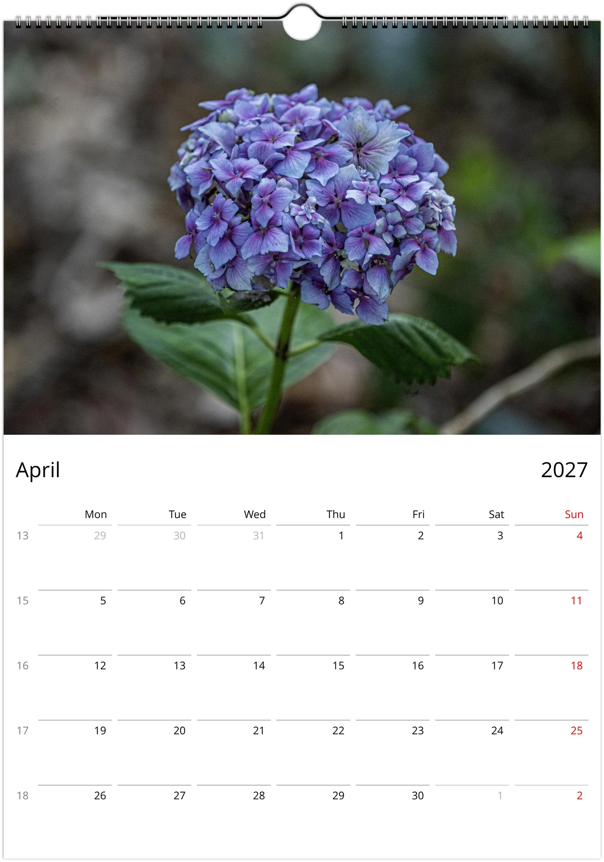 Calendar page for April 2027 with a purple flower on a blurred natural background