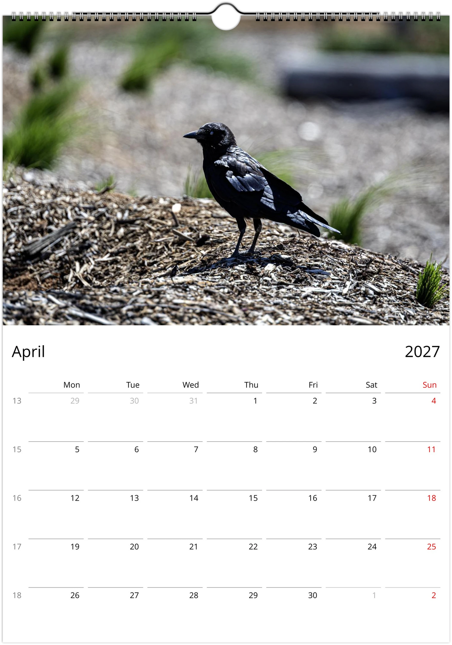 2027 Australian Ravens Wall Calendar | 2197