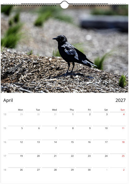 2027 Personalised Australian Ravens Wall Calendar | 2197