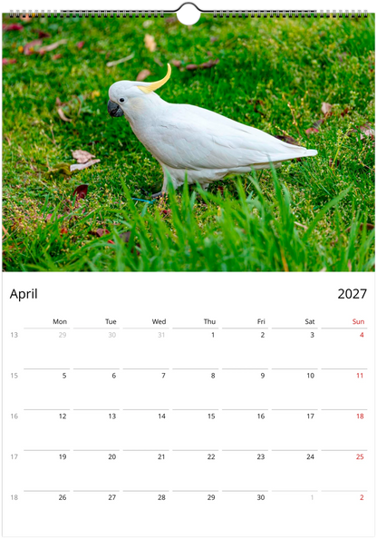 2027 Australian Birds Wall Calendar | 0507 Istvan Maar Photography