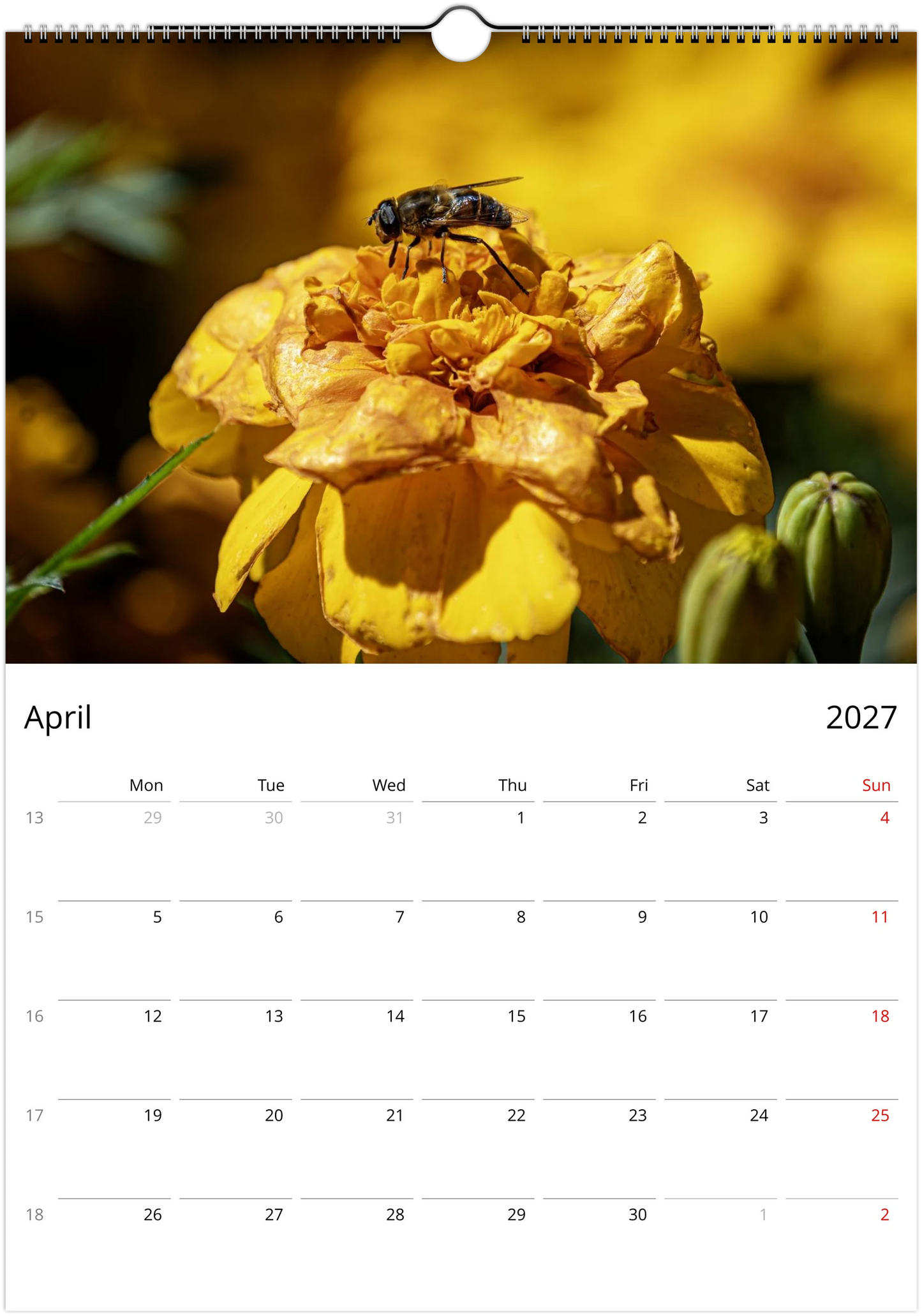 2027 Bees Wall Calendar | 7673