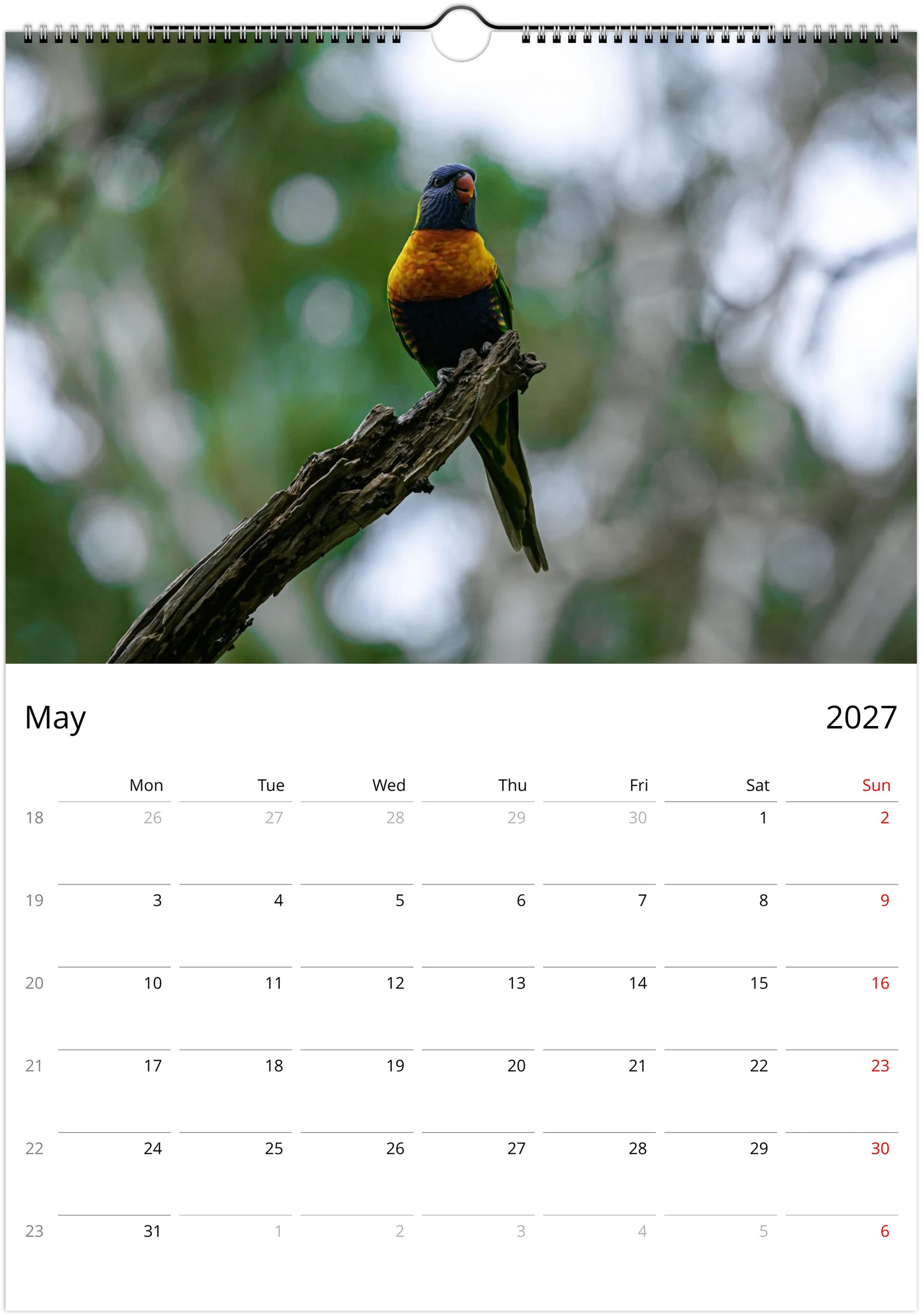 2027 Australian Birds Wall Calendar | 0507 Istvan Maar Photography