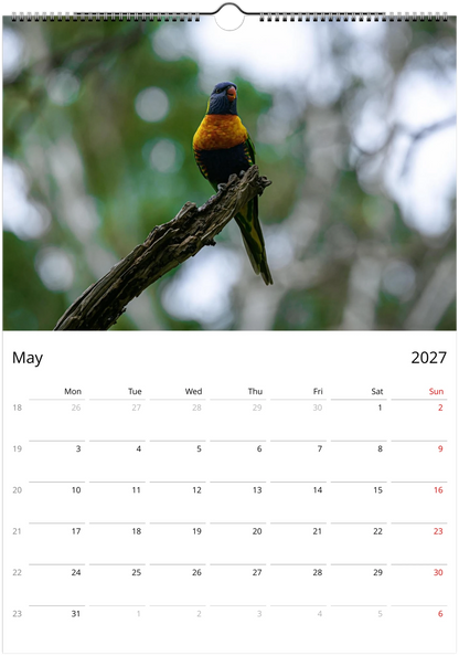 2027 Australian Birds Wall Calendar | 0507 Istvan Maar Photography