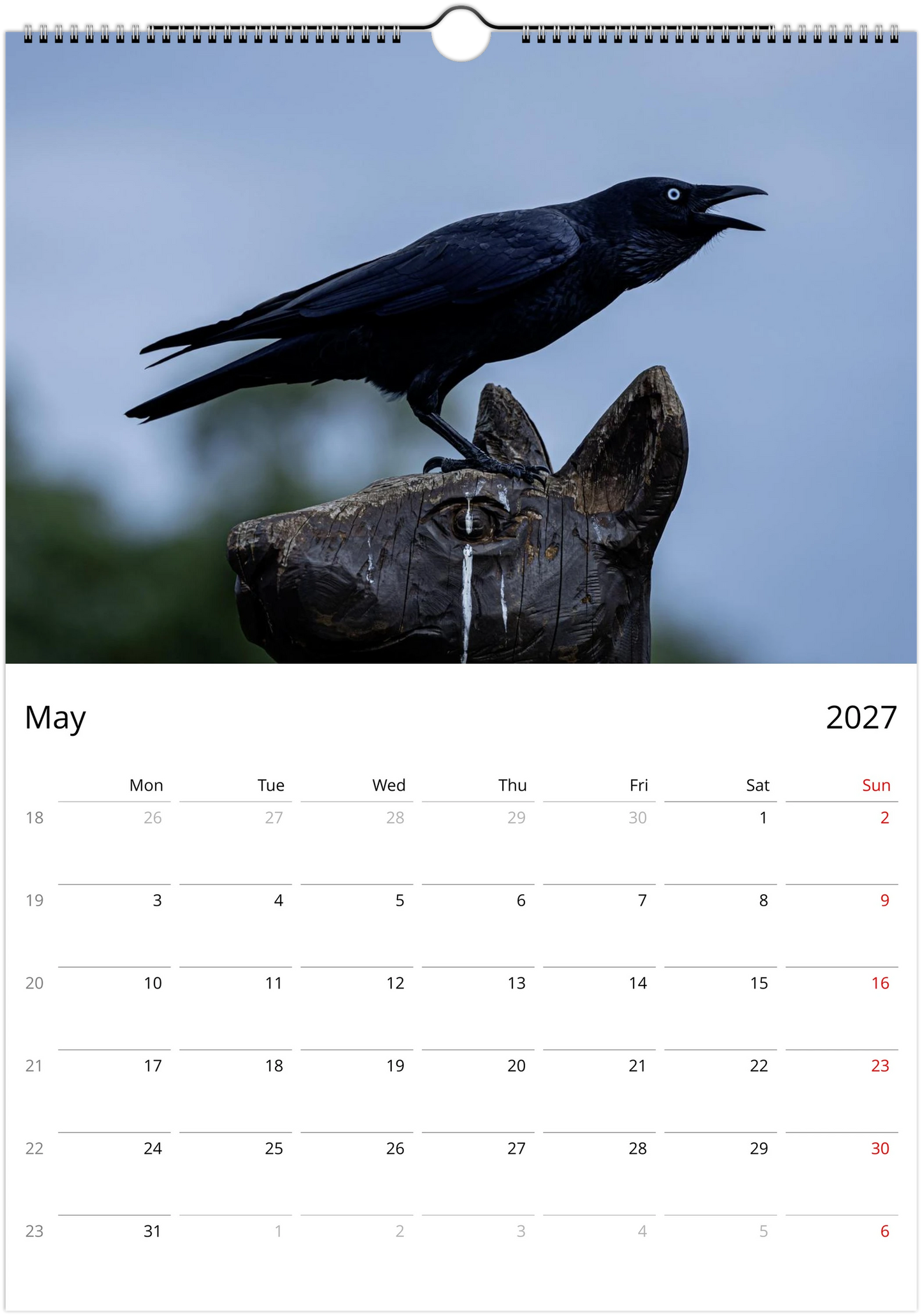 2027 Australian Ravens Wall Calendar | 2197