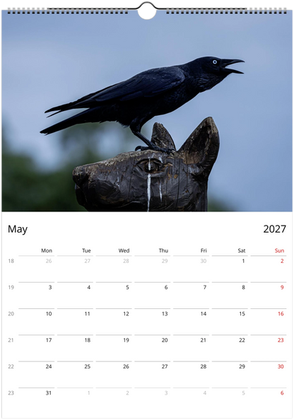 2027 Personalised Australian Ravens Wall Calendar | 2197