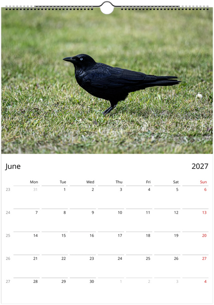 2027 Personalised Australian Ravens Wall Calendar | 2197