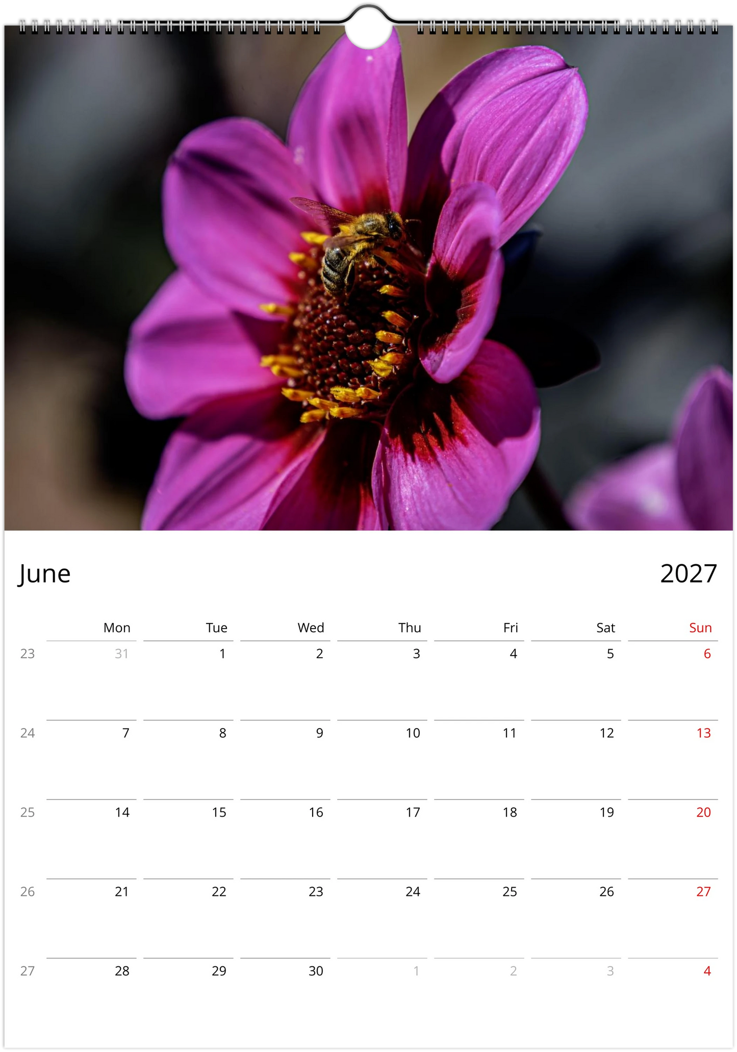 2027 Bees Wall Calendar | 7673
