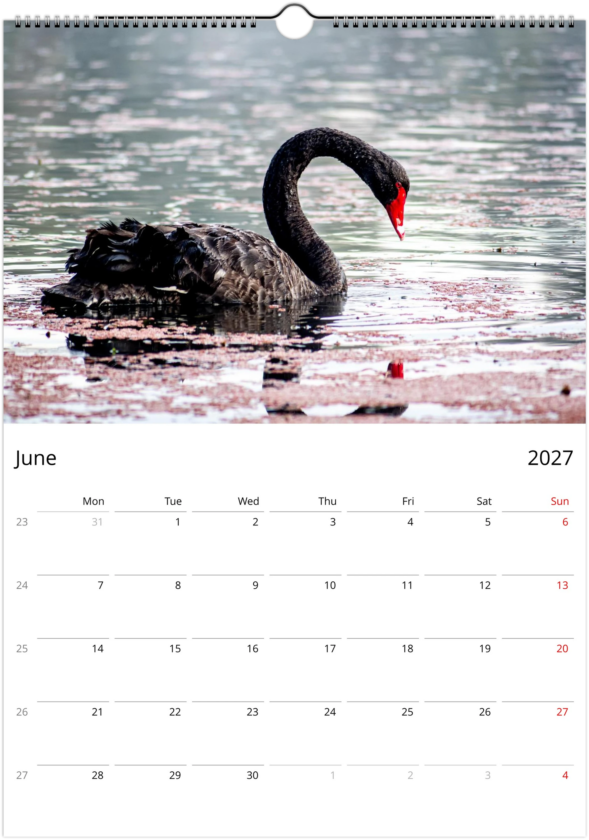 2027 Australian Wildlife Wall Calendar | 0488 Istvan Maar Photography
