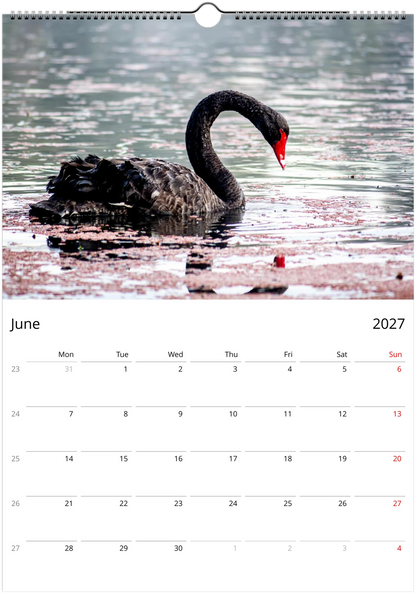 2027 Australian Wildlife Wall Calendar | 0488 Istvan Maar Photography