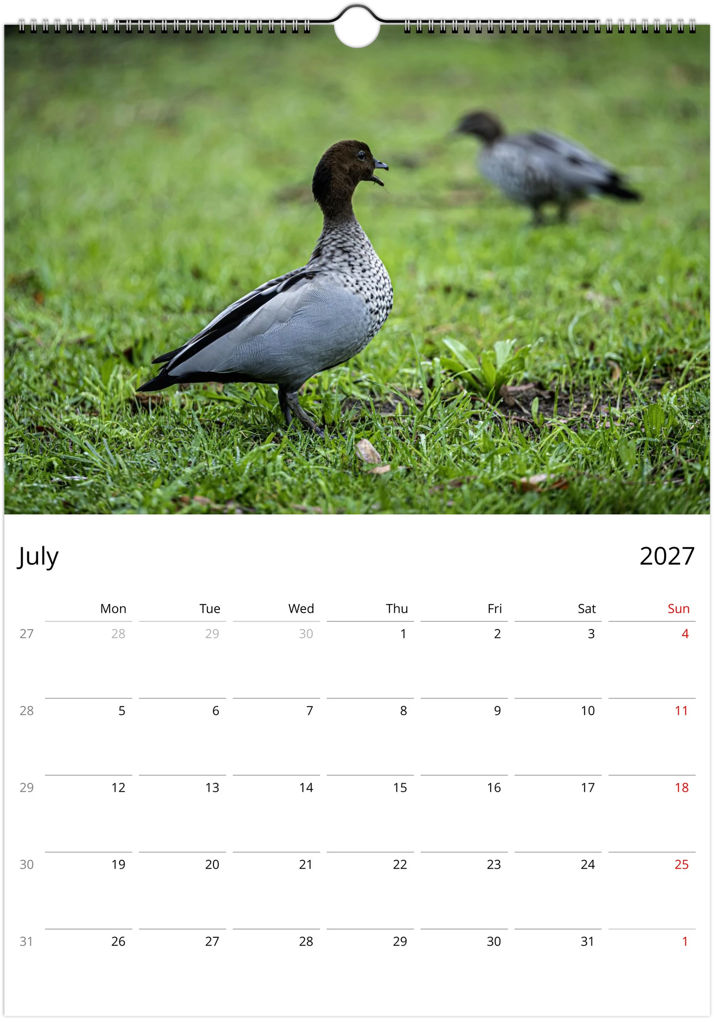 2027 Ducks Wall Calendar | 9076