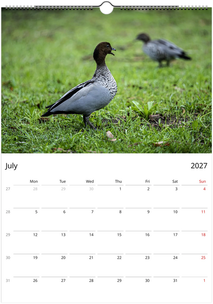 2027 Ducks Wall Calendar | 9076 Istvan Maar Photography