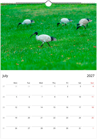 2027 Australian Birds Wall Calendar | 0507 Istvan Maar Photography