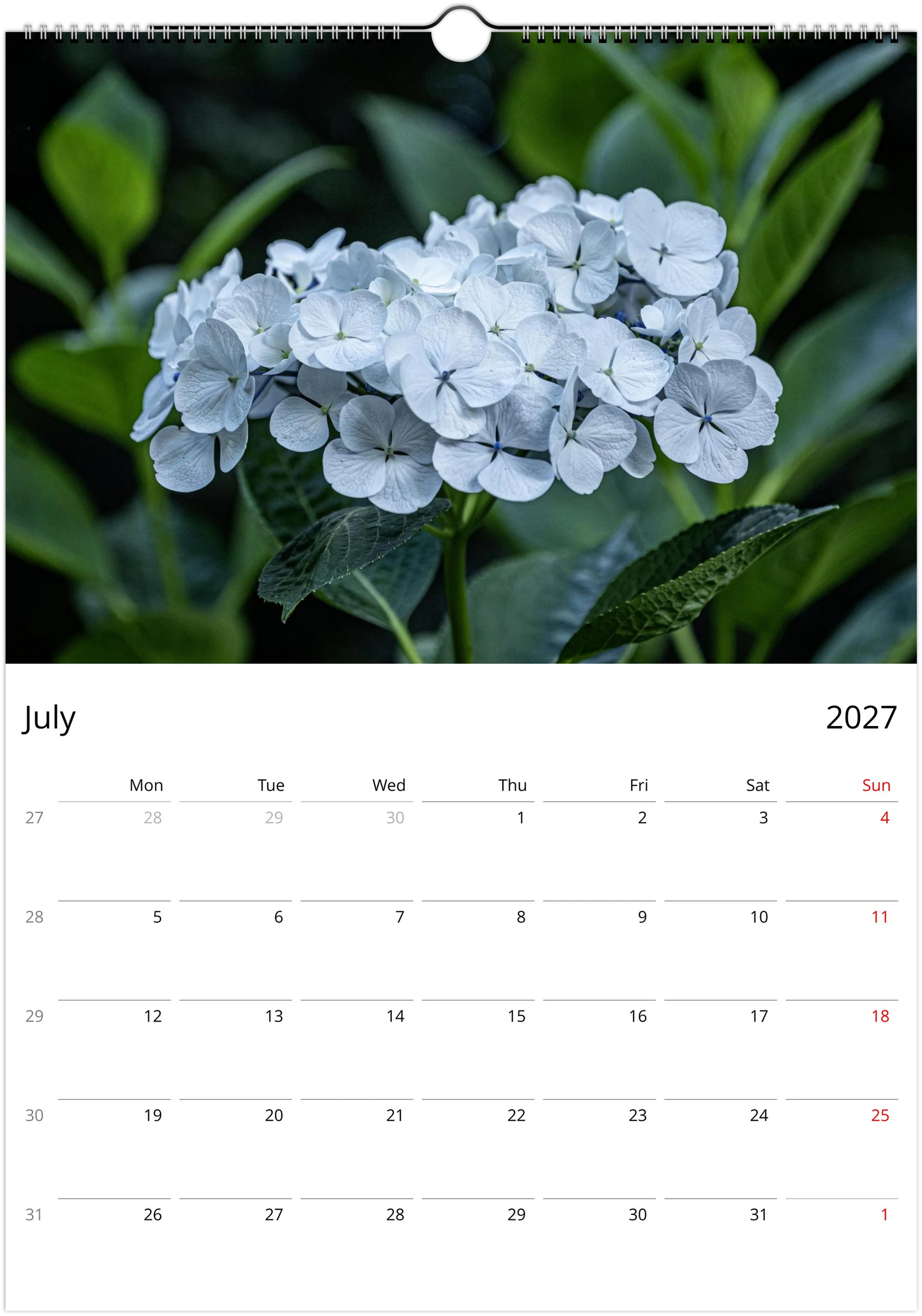 Calendar page for July 2027 featuring a close-up of white flowers with green leaves.