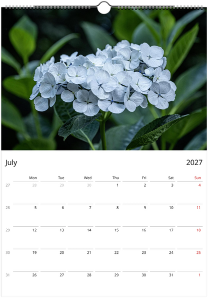 Calendar page for July 2027 featuring a close-up of white flowers with green leaves.