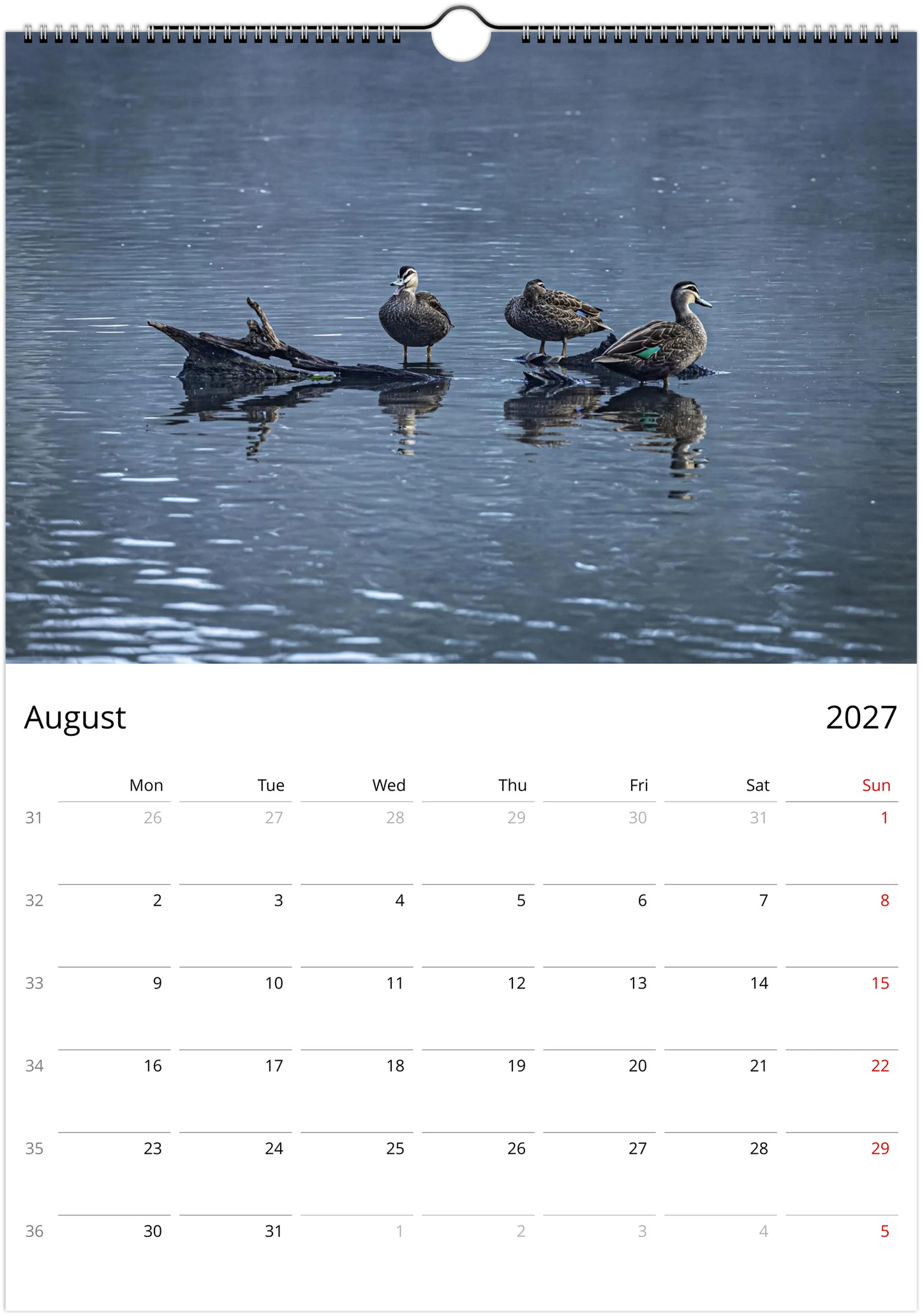 2027 Ducks Wall Calendar | 9076