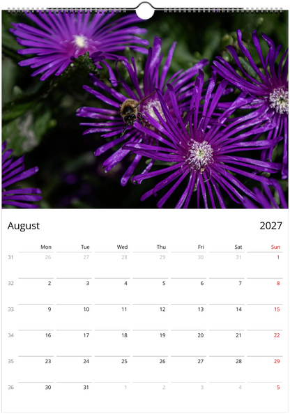 2027 Bees Wall Calendar – August monthly spread with bee and flower photography