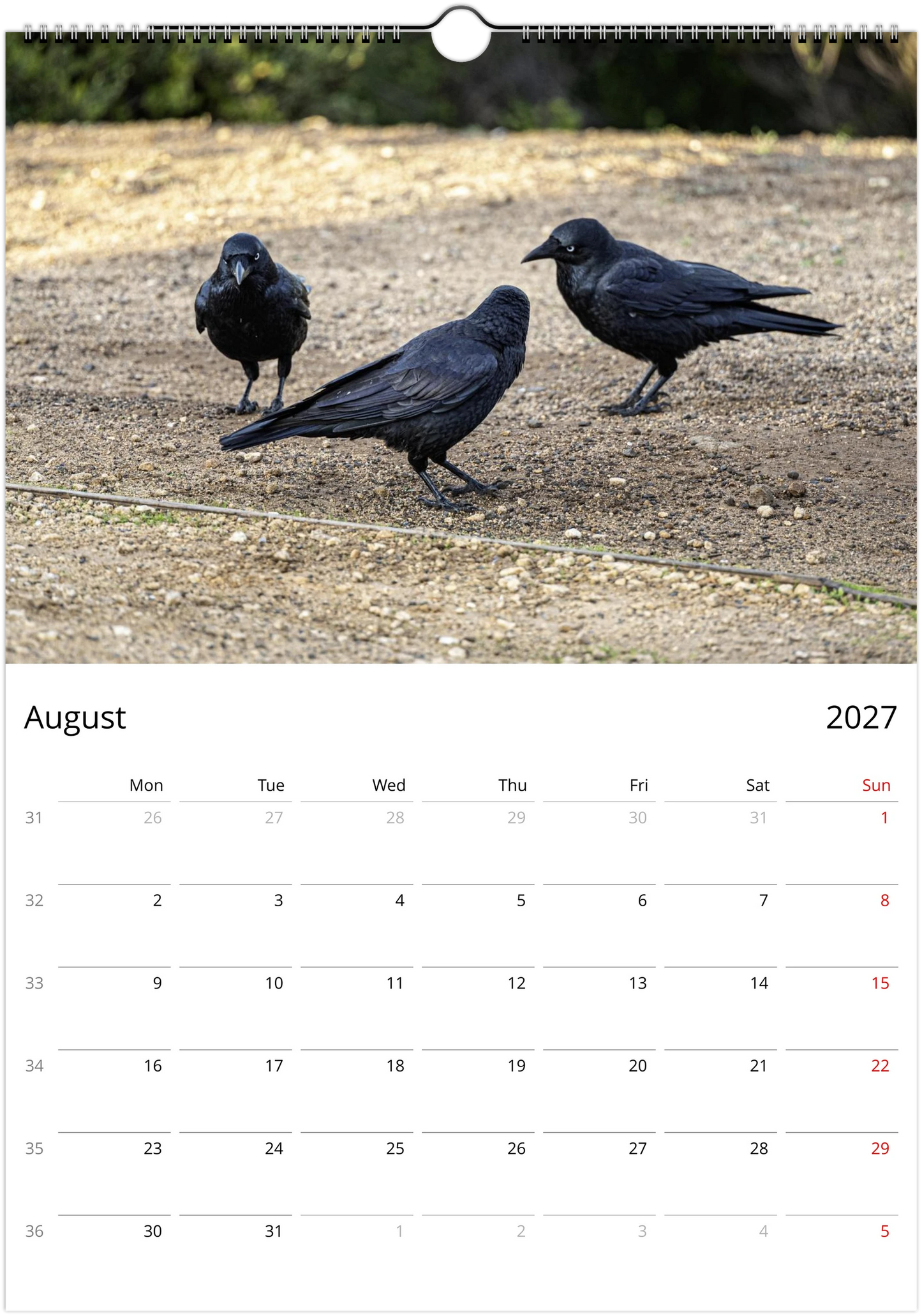 2027 Australian Ravens Wall Calendar | 2197