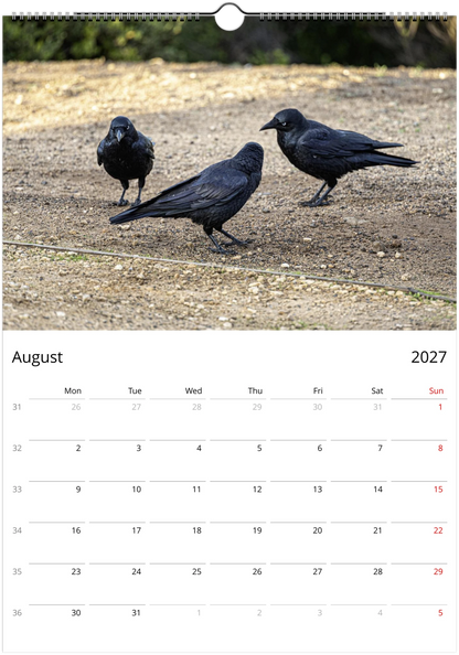 2027 Personalised Australian Ravens Wall Calendar | 2197