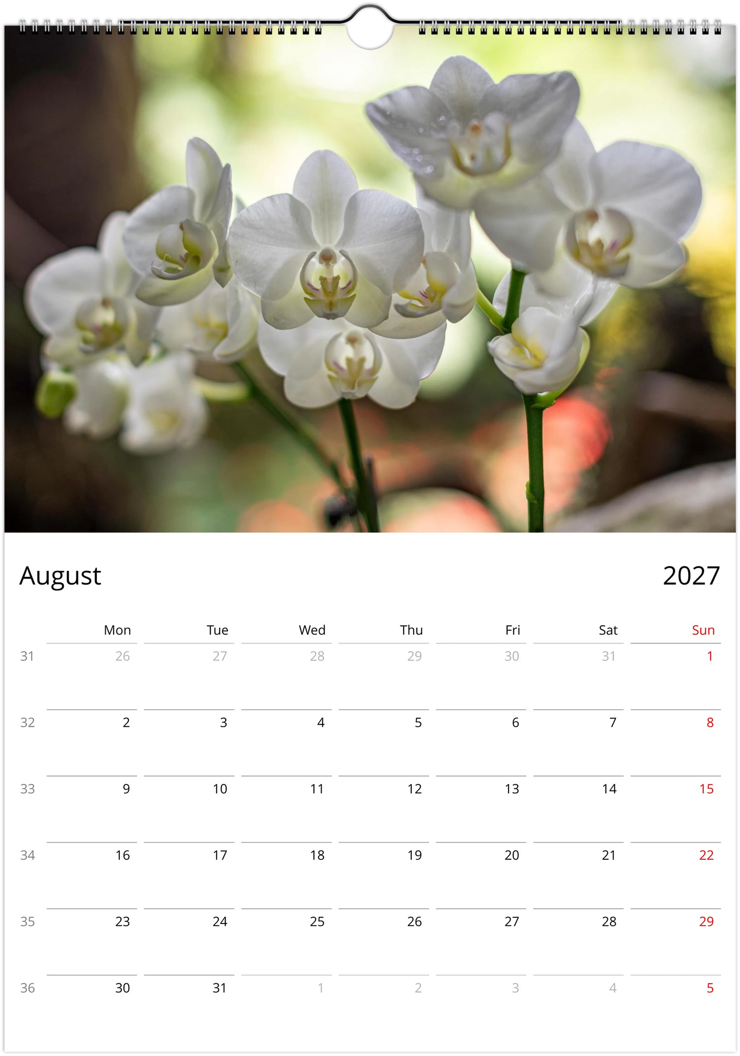 2027 Orchids Wall Calendar | 5749 Istvan Maar Photography