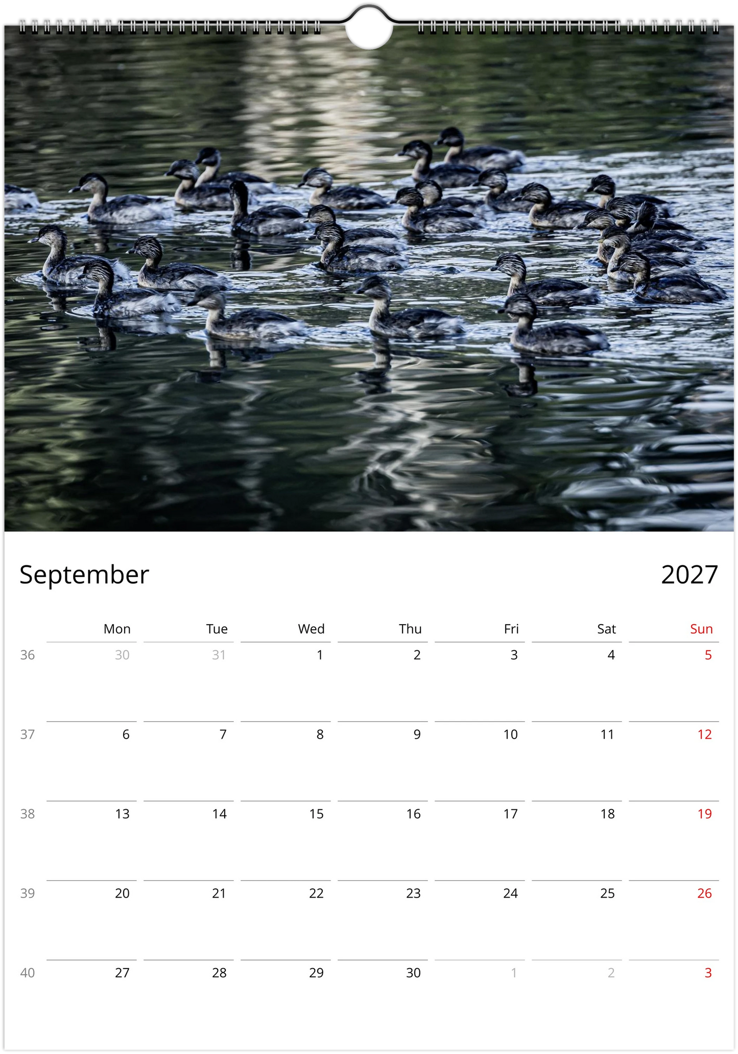2027 Ducks Wall Calendar | 9076