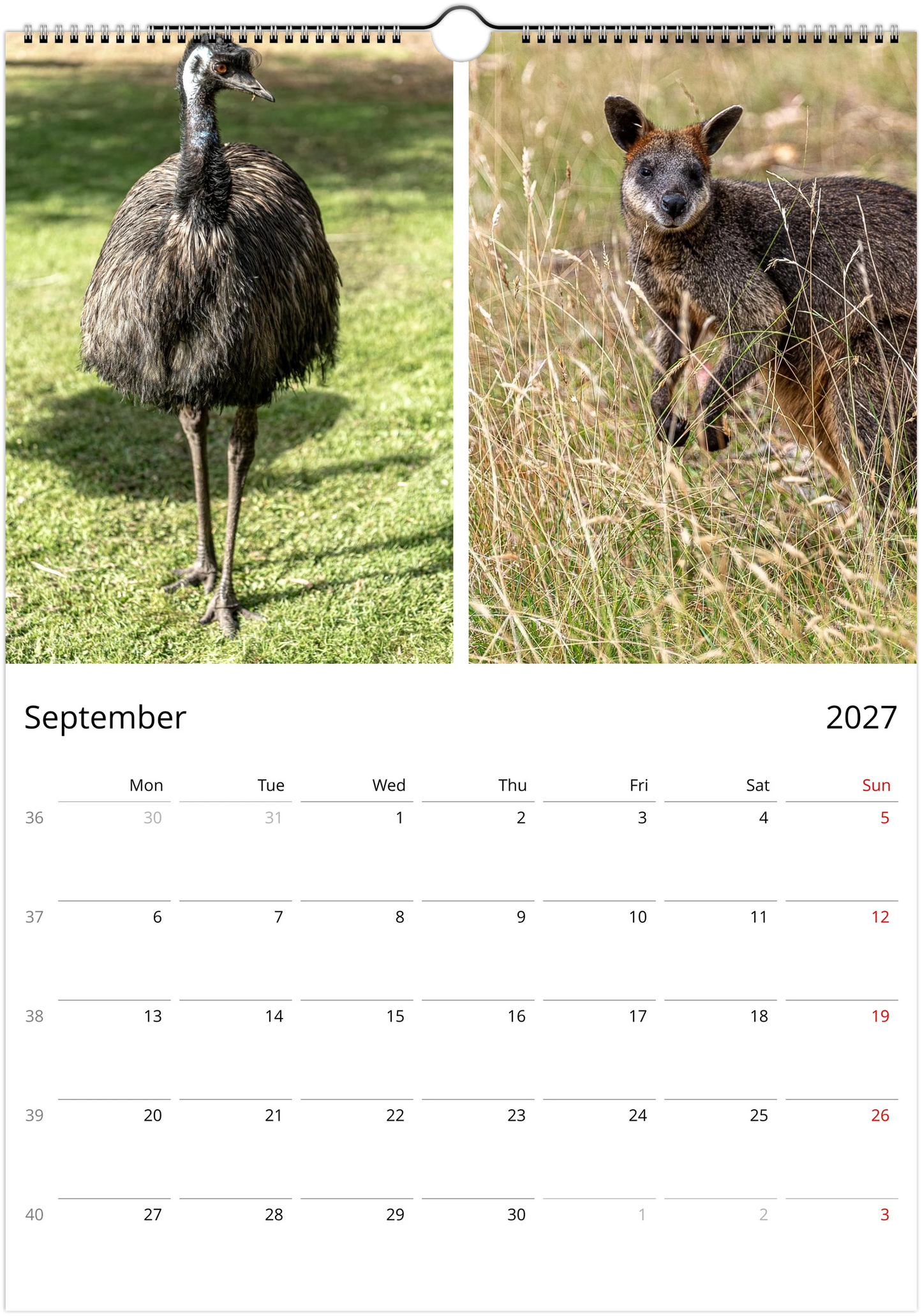 2027 Australian Wildlife Wall Calendar | 0488 Istvan Maar Photography