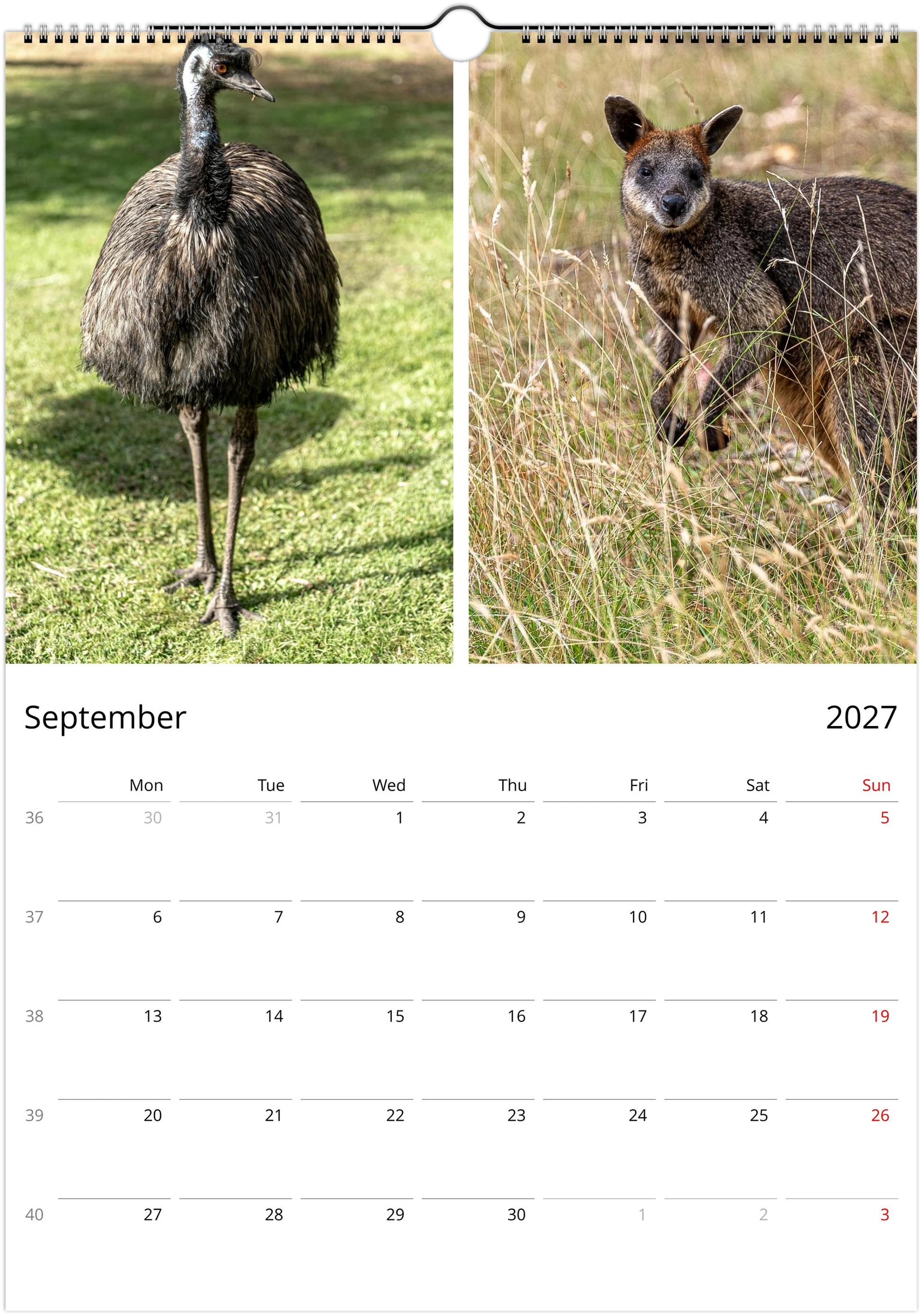 2027 Australian Wildlife Wall Calendar | 0488 Istvan Maar Photography