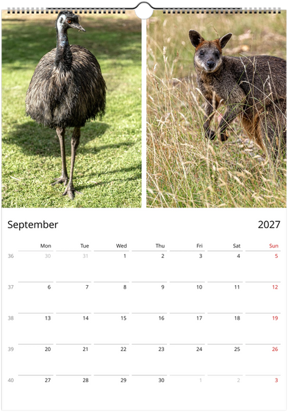 2027 Australian Wildlife Wall Calendar | 0488 Istvan Maar Photography