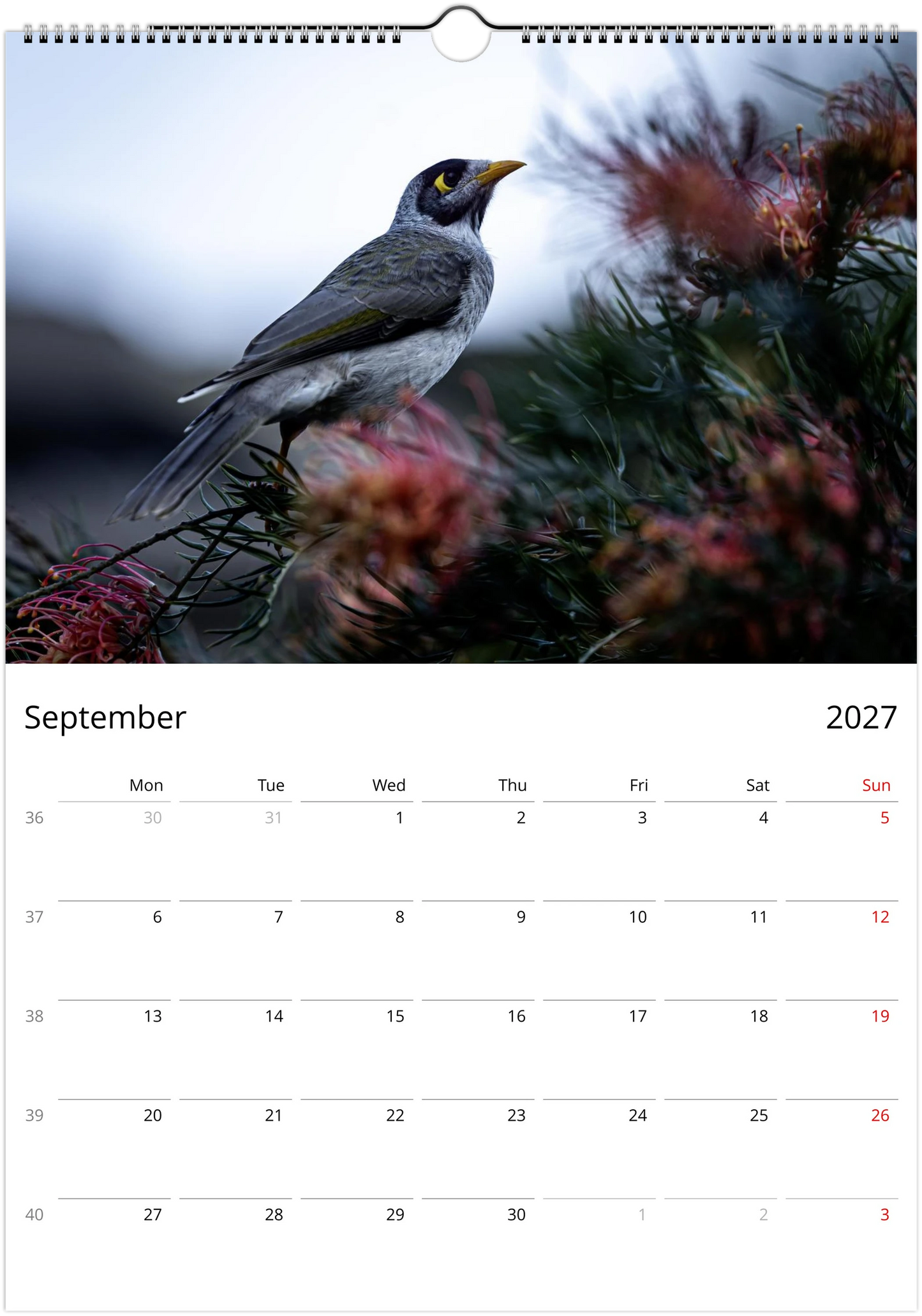 2027 Noisy Miners Wall Calendar | 3685