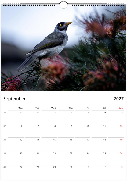 2027 Personalised Noisy Miners Wall Calendar | 3685