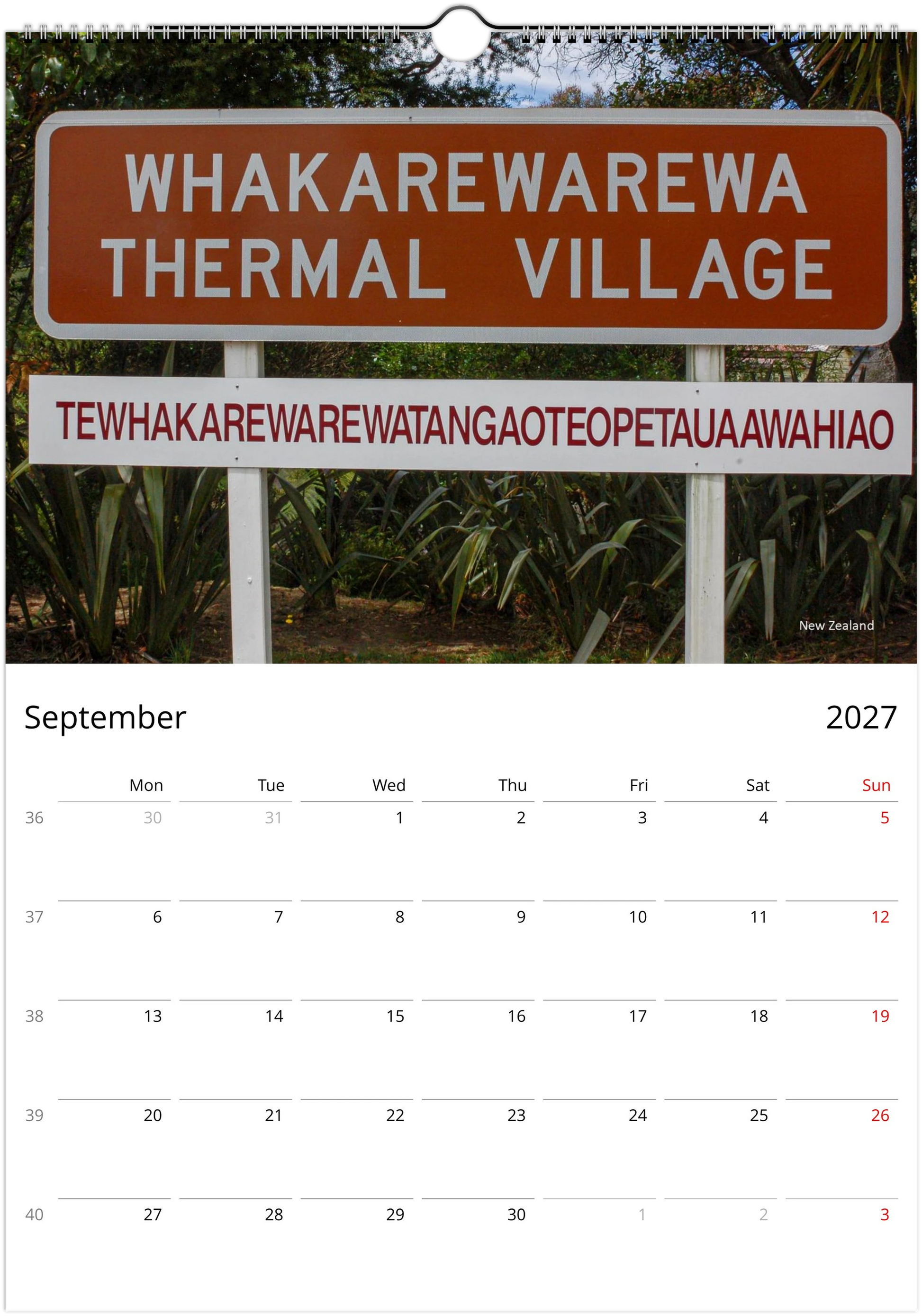 2027 Funny Road Signs Wall Calendar | 1800 Istvan Maar Photography