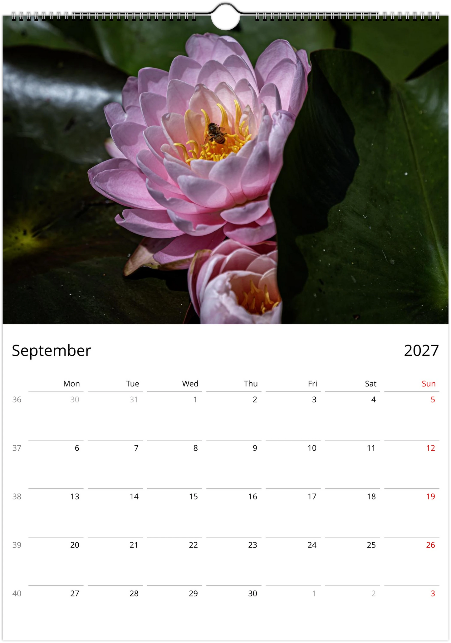 2027 Bees Wall Calendar | 7673