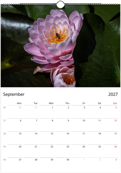 2027 Bees Wall Calendar – September monthly spread with bee and flower photography