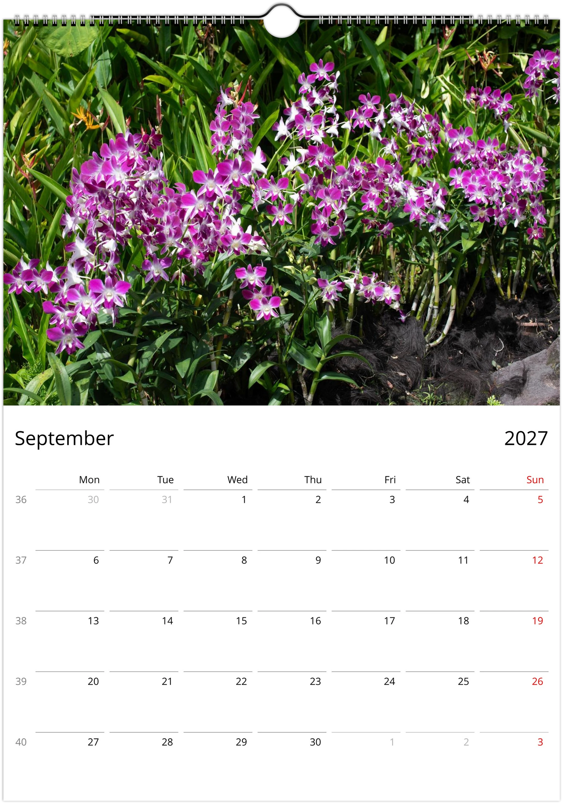 2027 Orchids Wall Calendar | 5749 Istvan Maar Photography