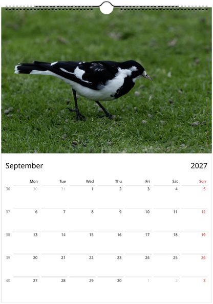 2027 Australian Birds Wall Calendar | 0507 Istvan Maar Photography