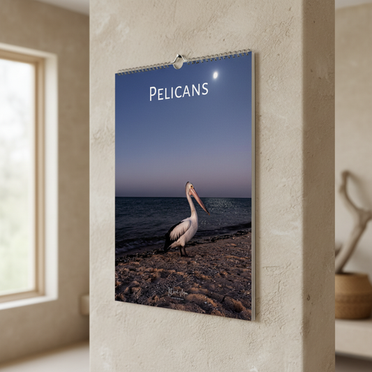 Pelican photography wall calendar in A3 size hung on a textured wall angled lifestyle view — Istvan Maar Photography