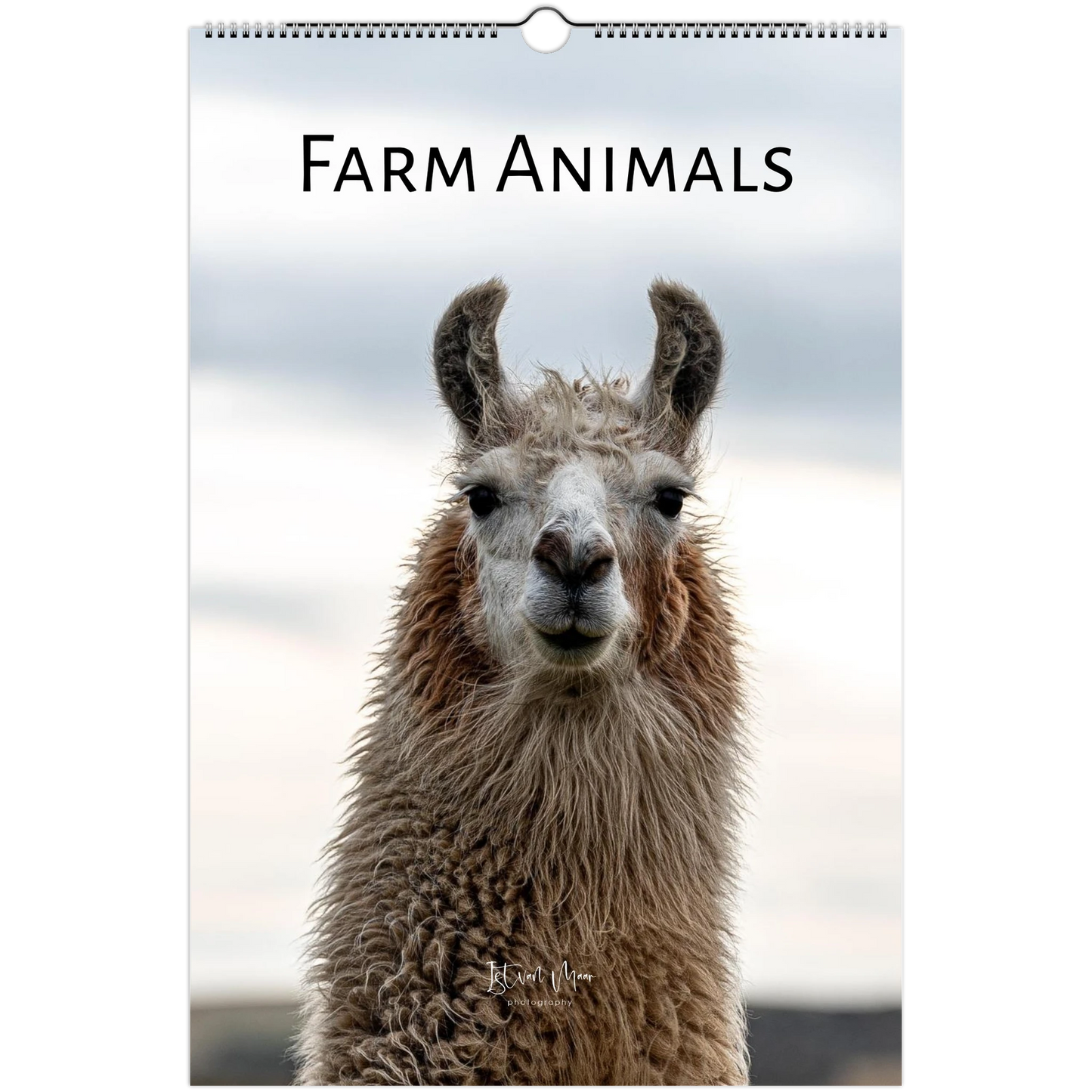 A spiral-bound wall calendar featuring a close-up photograph of a llama or alpaca with the text 'FARM ANIMALS' at the top, shown against a plain white background.