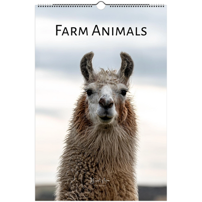 A spiral-bound wall calendar featuring a close-up photograph of a llama or alpaca with the text 'FARM ANIMALS' at the top, shown against a plain white background.
