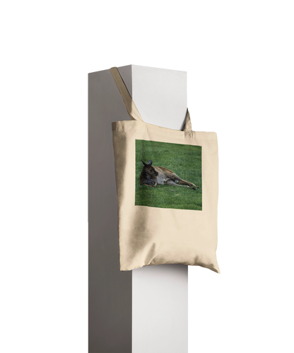 Premium natural canvas kangaroo tote bag displayed on pillar – personalised Australian wildlife gift tote