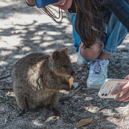 Australian Wildlife Calendar by Istvan Maar Photography